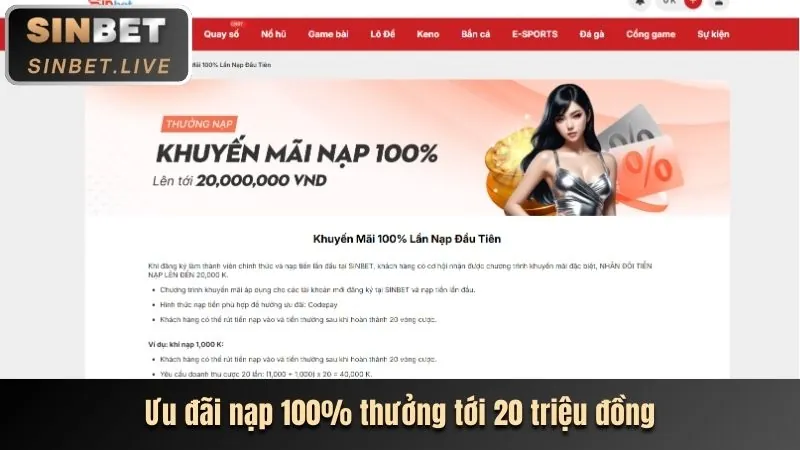 Hình ảnh chương trình VIP và phần thưởng độc quyền